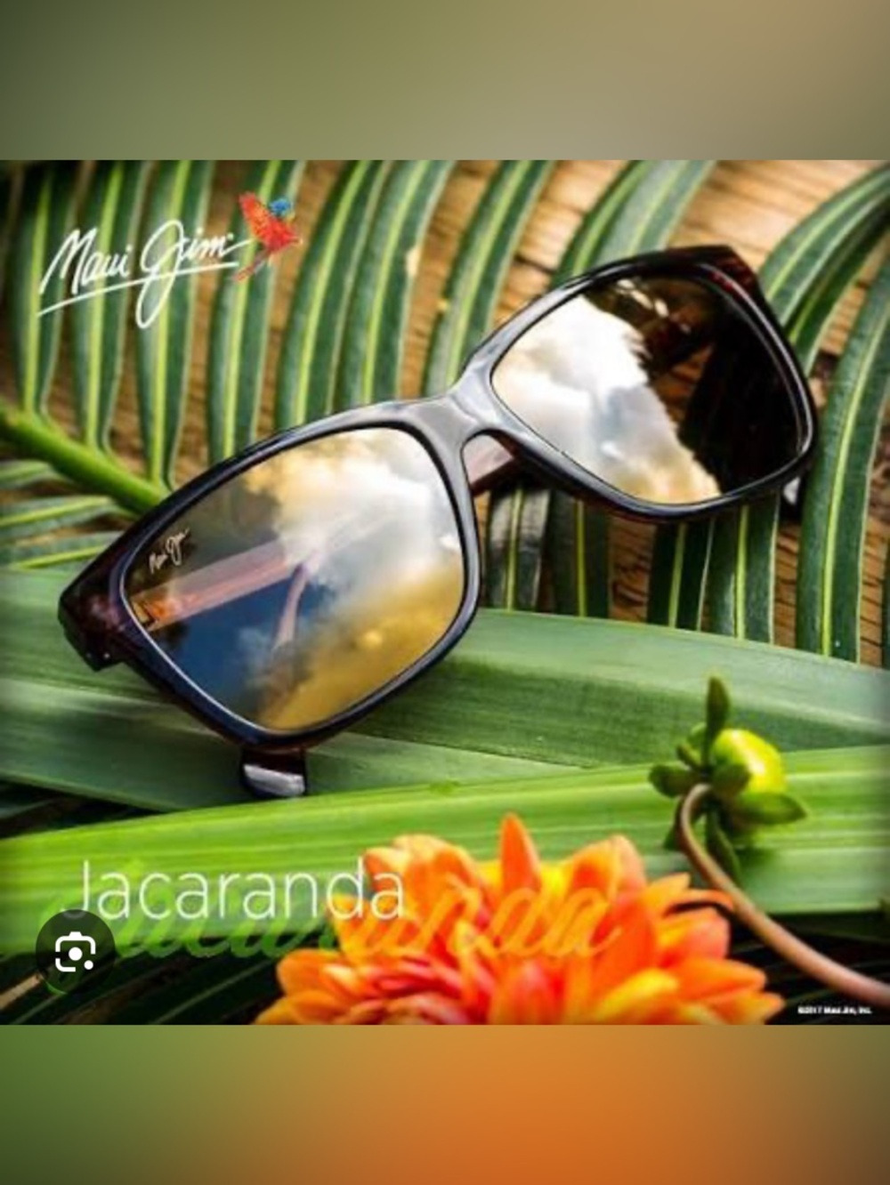 Maui Jim Jacaranda Sunglasses